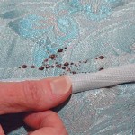 How To Inspect Furniture For Bed Bugs